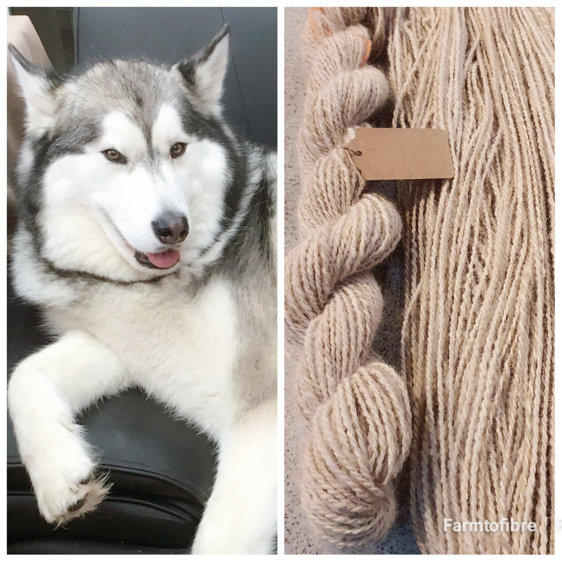 Crafting with Furry Friends: Hand-Spinning Dog and Cat Fur Yarn. (Chiengora)