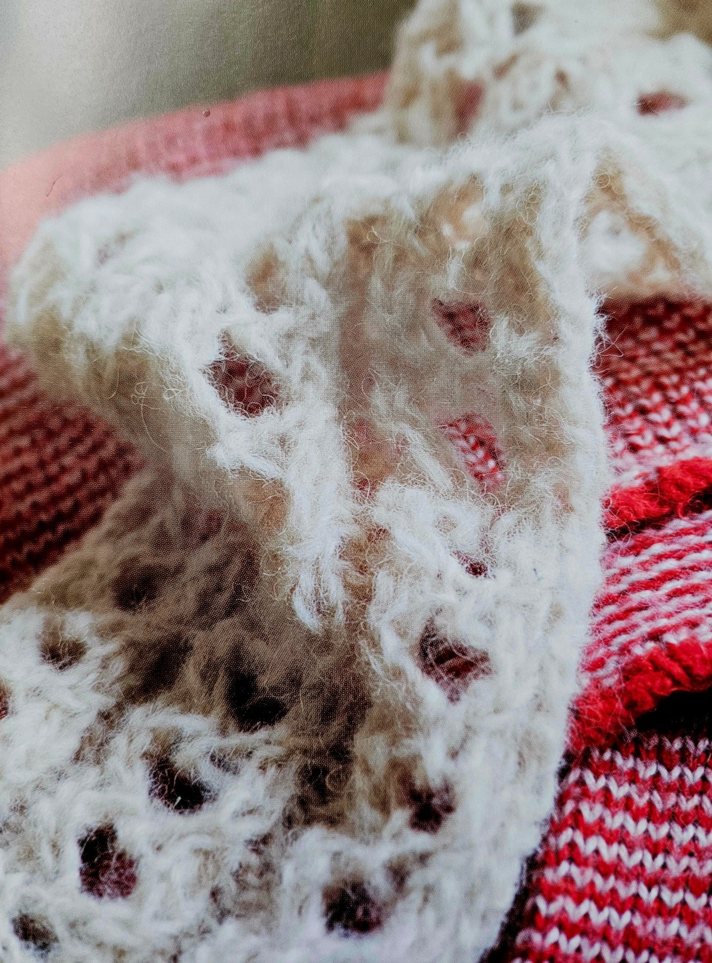 Handmade items made from pet fur yarn.