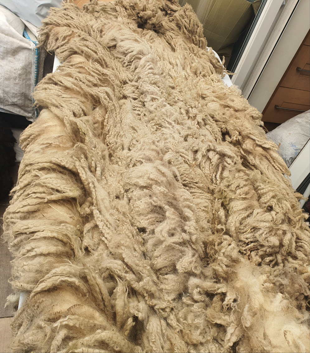 Raw fleece for gardening