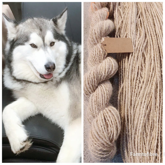 Pet fur yarn - Spinning service (Chiengora). Your pet's fur hand spun into yarn. Dogs, cats, rabbits, fur yarn.