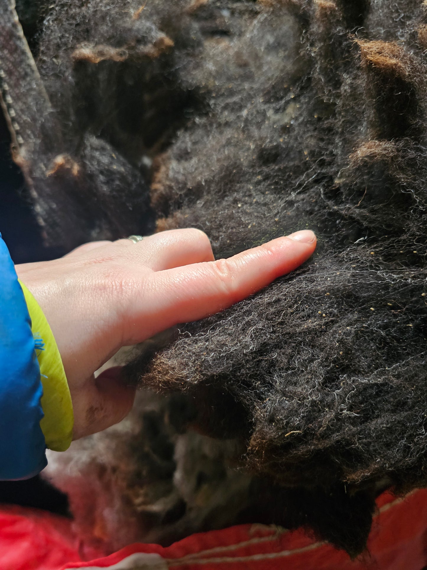 Zwartble x Whole Raw Lambswool fleece