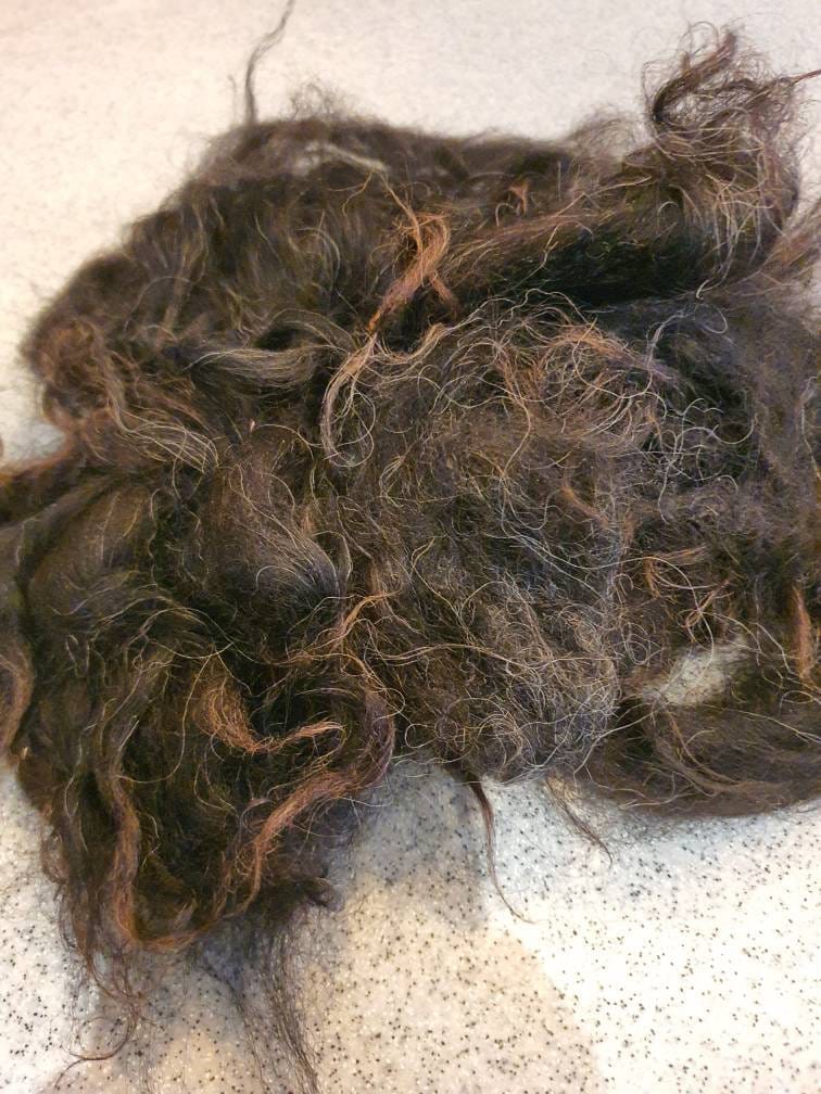 Hebridean sheeps wool