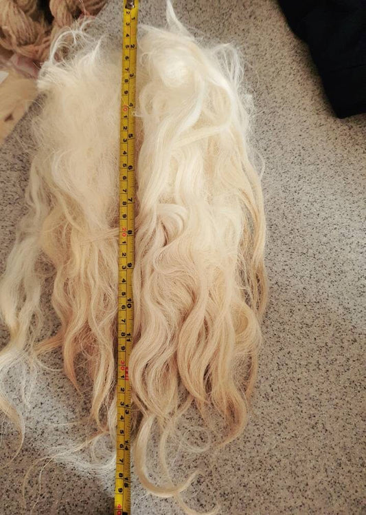 Pedigree rare breed Greyfaced dartmoor fleece wool (washed)