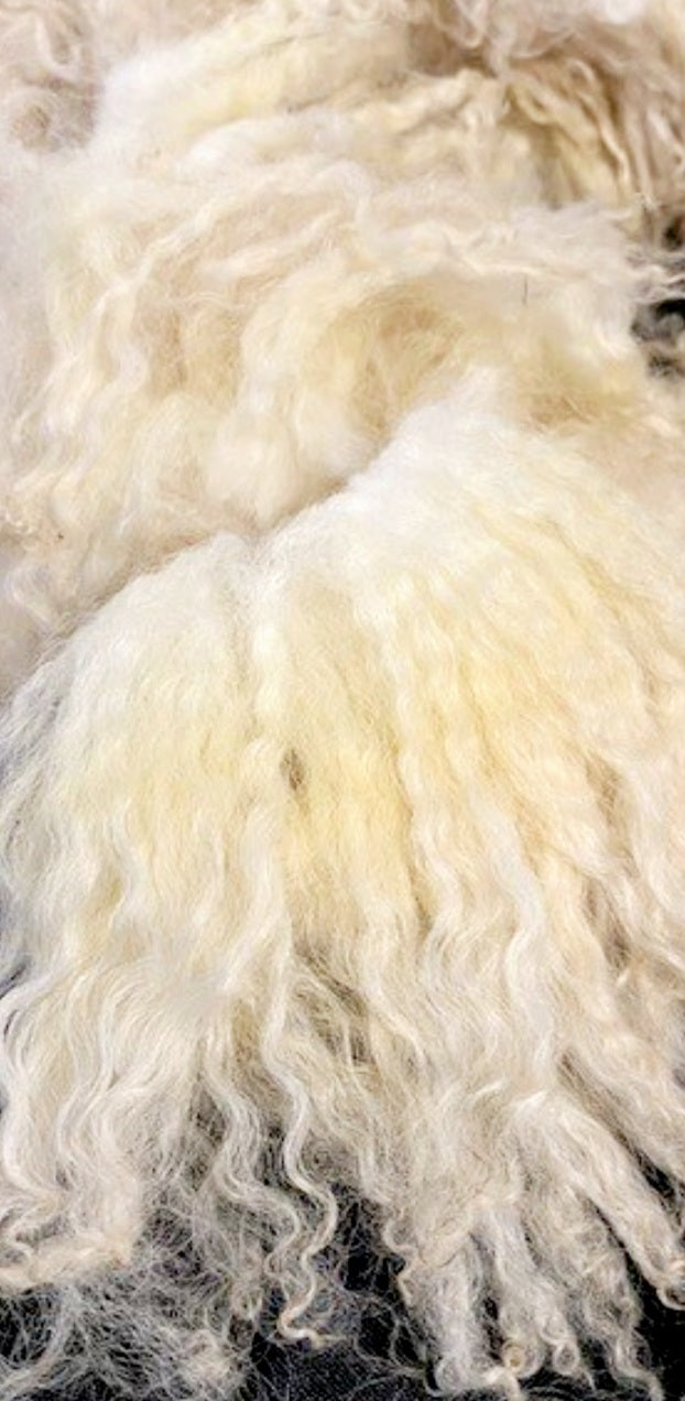 Washed sheep's wool