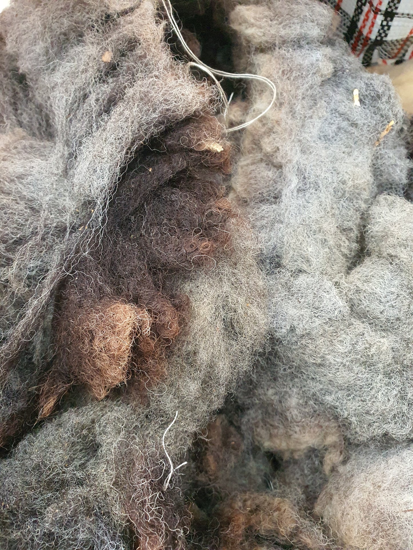 Peg loom value wool pack. Sample multiple different sheep fleeces in one order.