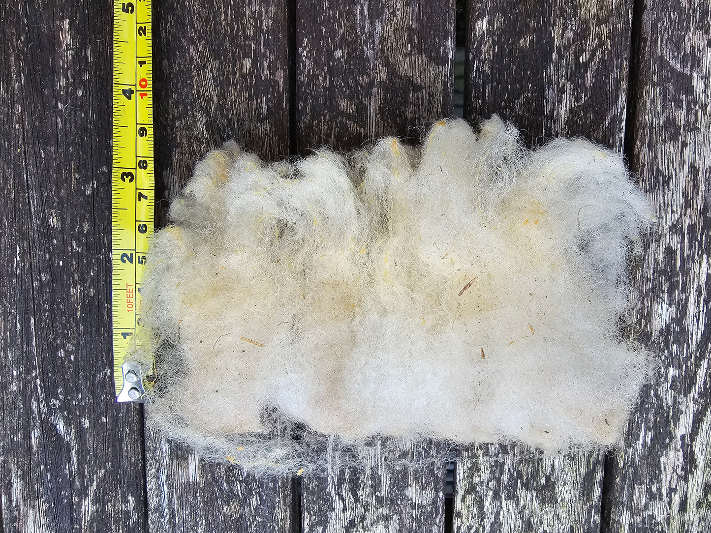 Southdown wool- Whole Raw sheep fleece for crafts.