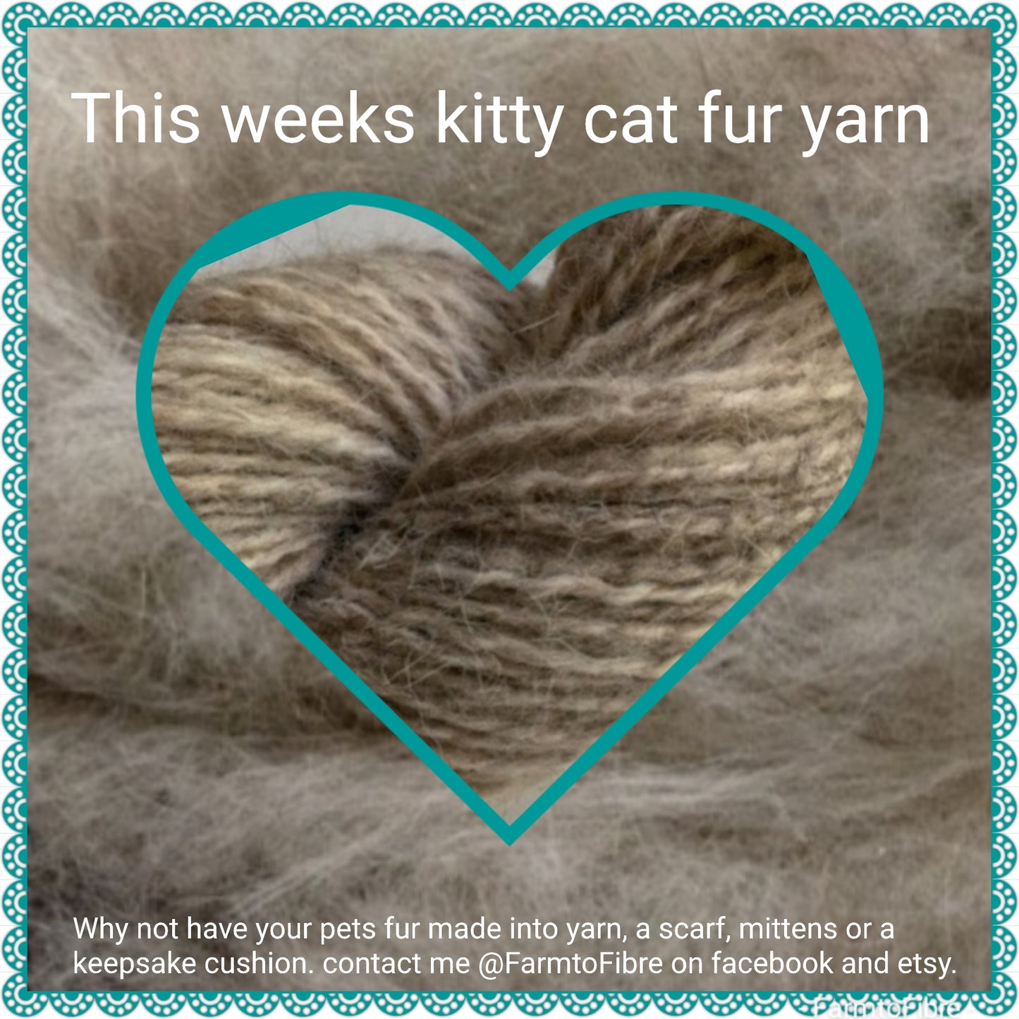 Pet fur yarn spinning service. Your pet fur spun into yarn. Dogs, cats, rabbits, fur yarn. Cheingora yarn making.