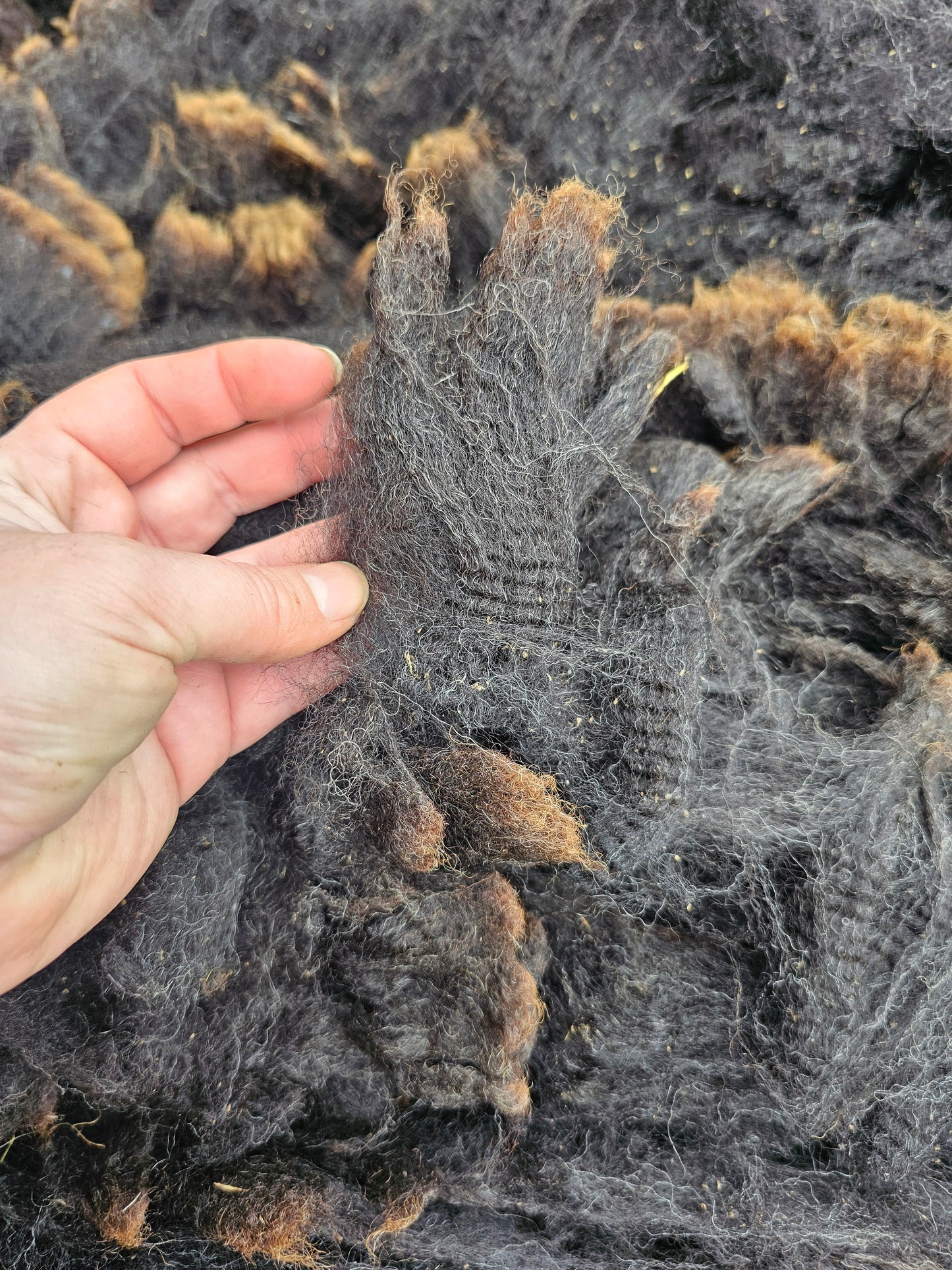 Zwartble x Whole Raw Lambswool fleece