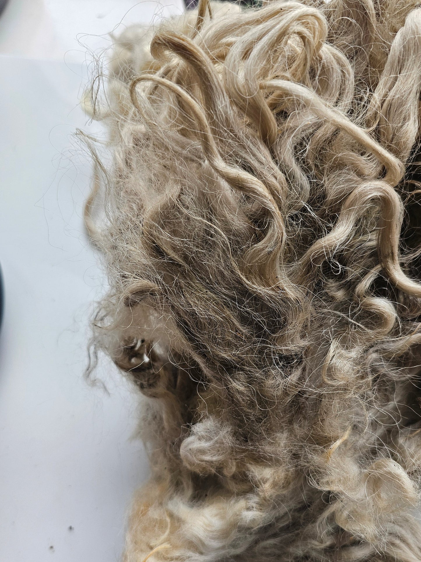 Raw Greyfaced Dartmoor value bag.