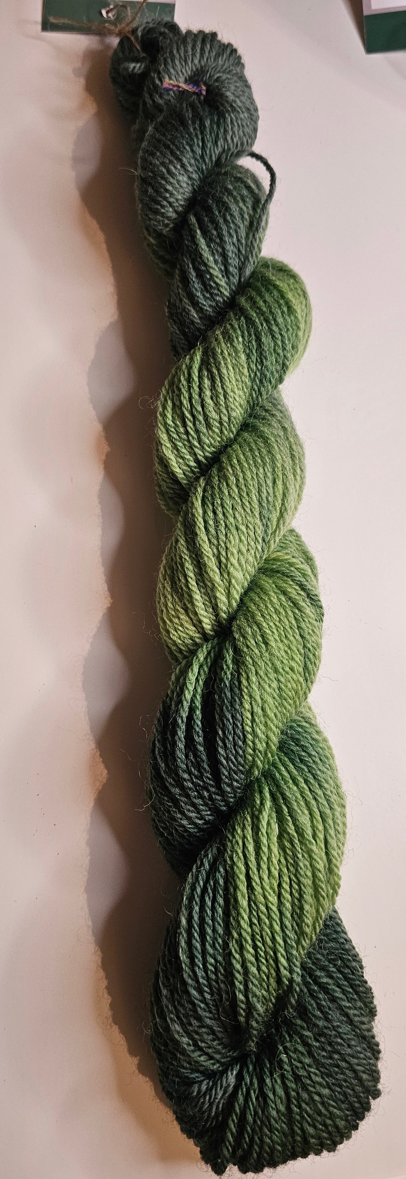 Spring Greens superwash Dk yarn