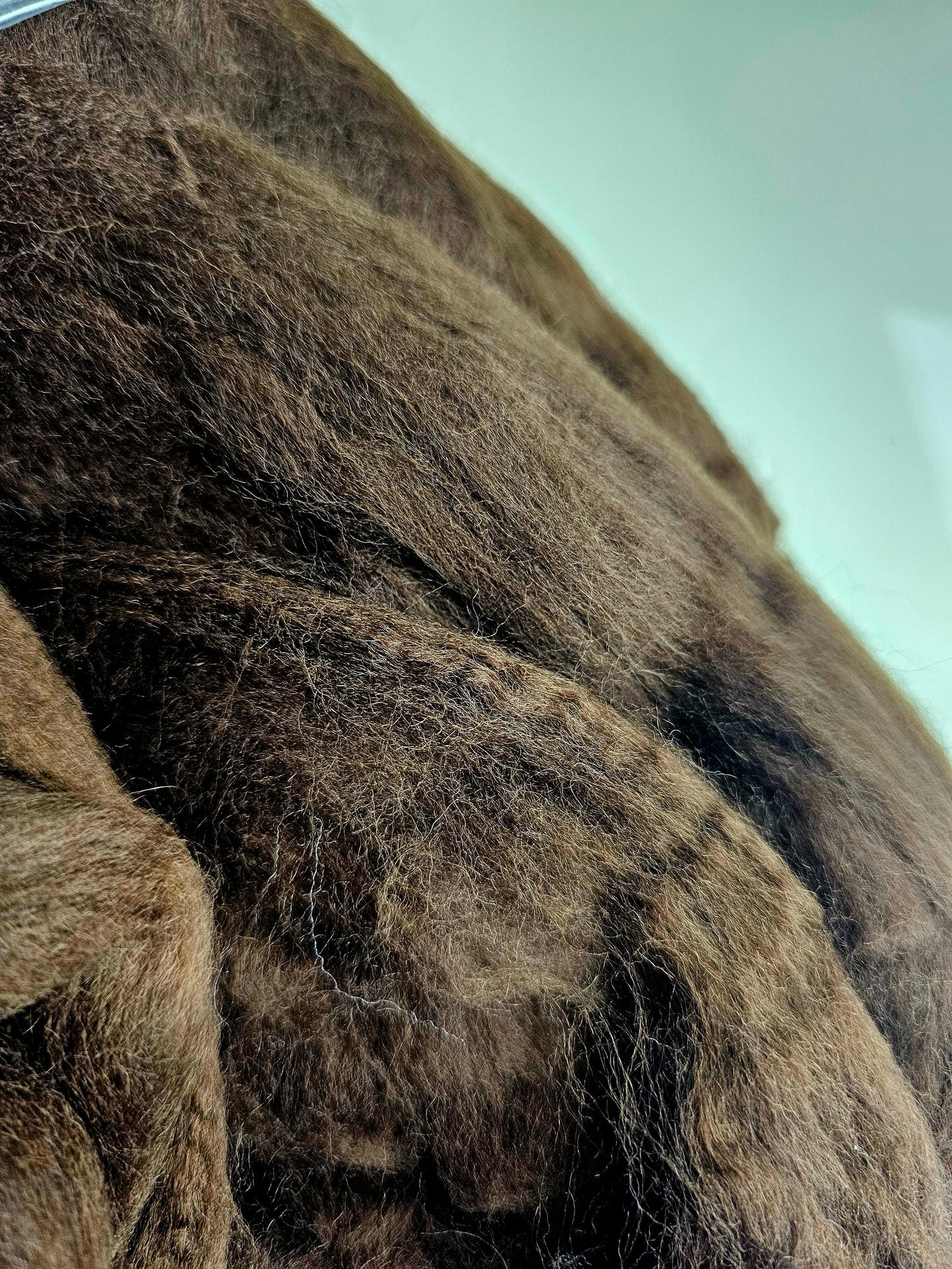 Twiggy brown- Cheviot top