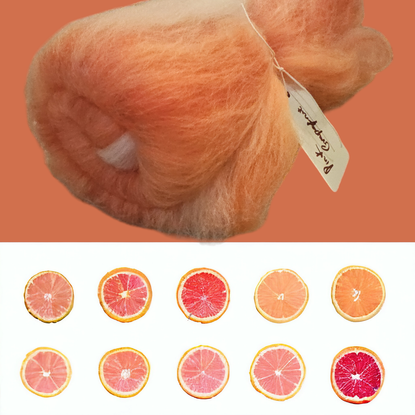 Pink Grapefruit. Beautiful wool batt perfect for spinning into yarn, felting or weaving.