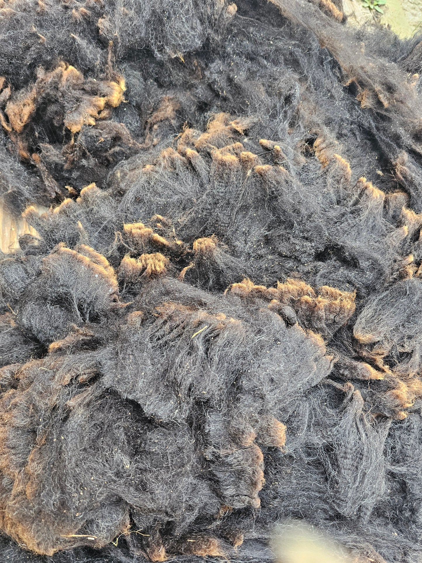 Zwartble x Whole Raw Lambswool fleece