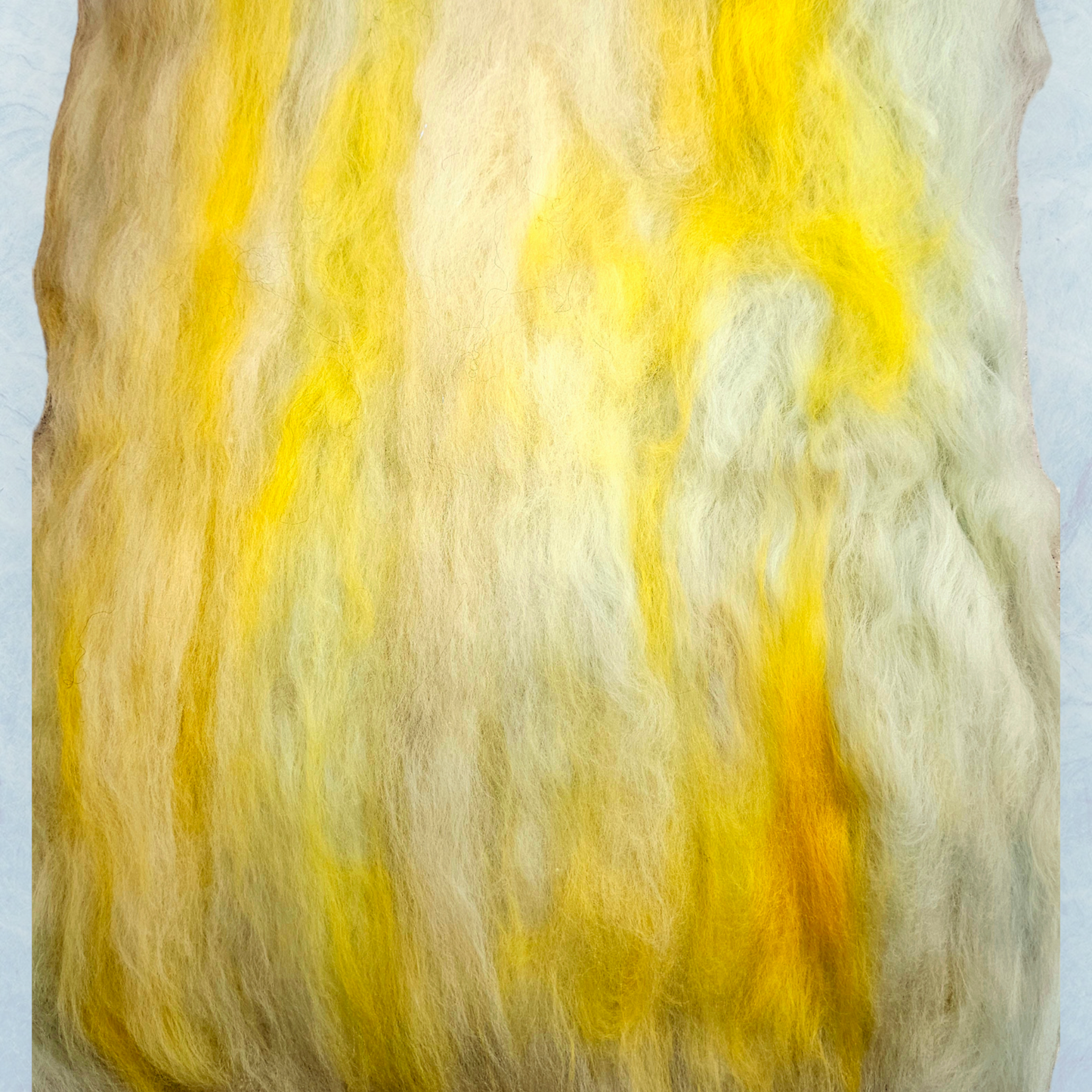 Spring Daffodils. Beautiful wool batt perfect for spinning into yarn, felting or weaving.