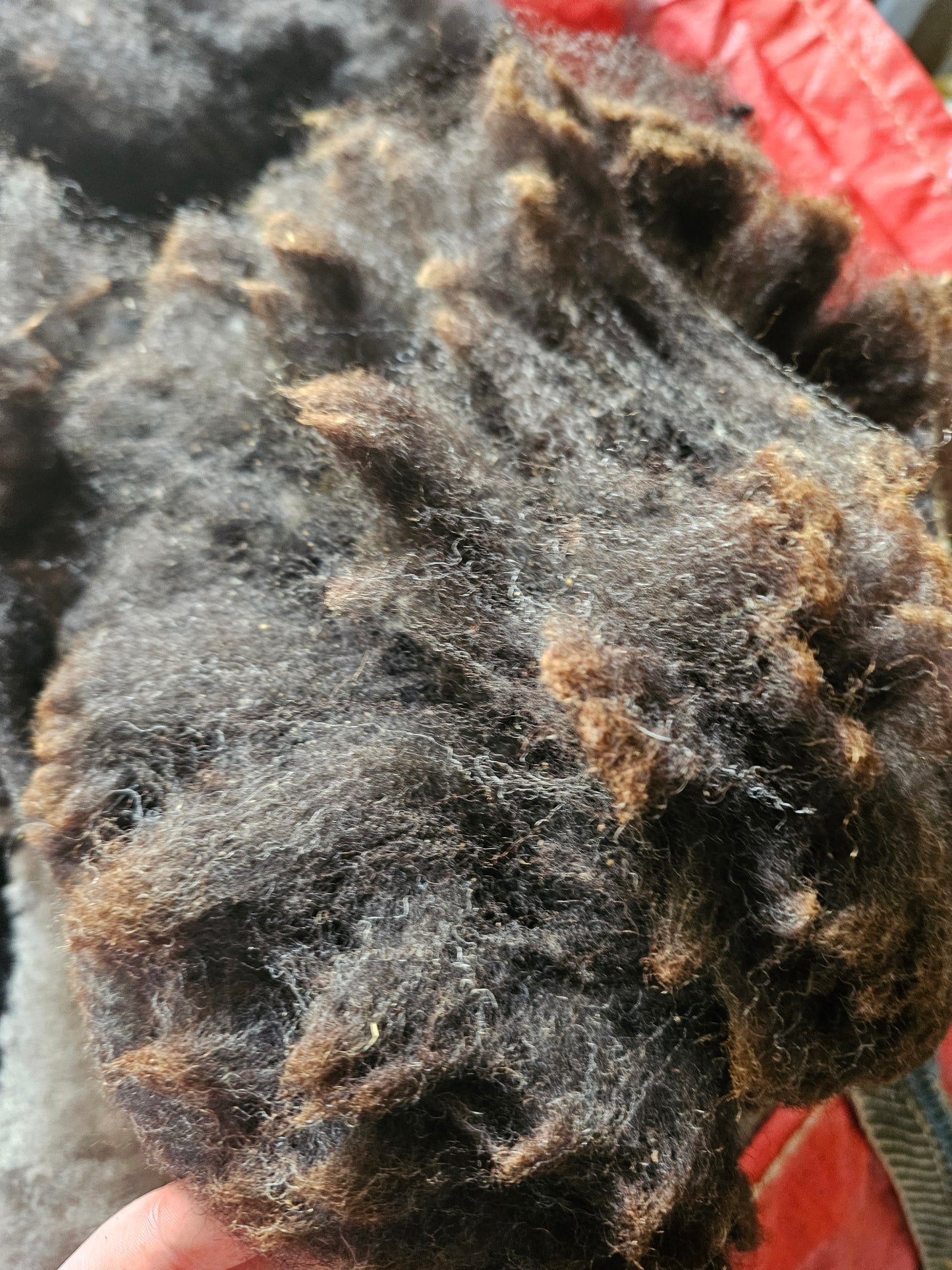 Zwartble x Whole Raw Lambswool fleece
