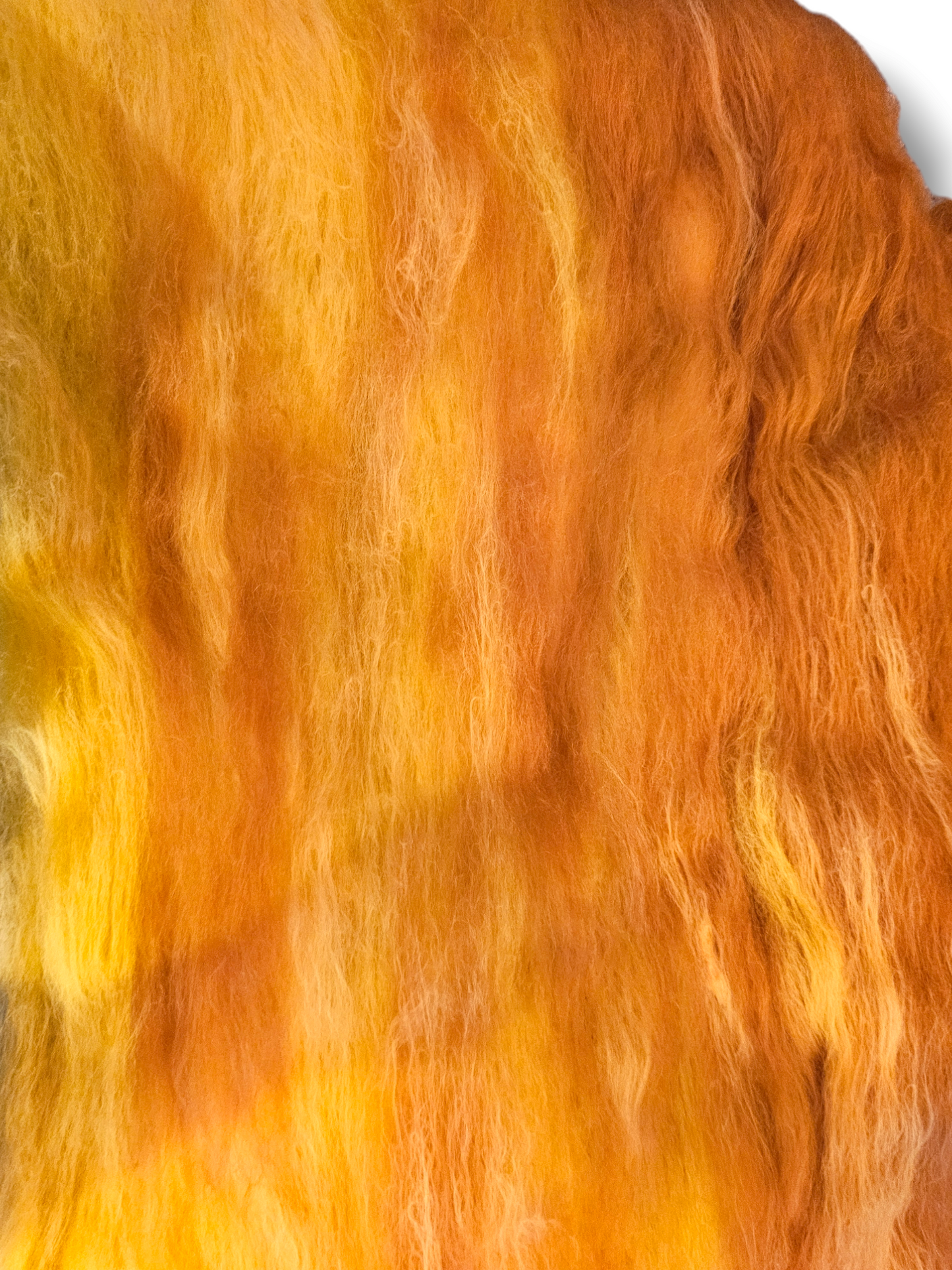 Harvest sunrise. Beautiful wool batt perfect for spinning into yarn, felting or weaving.