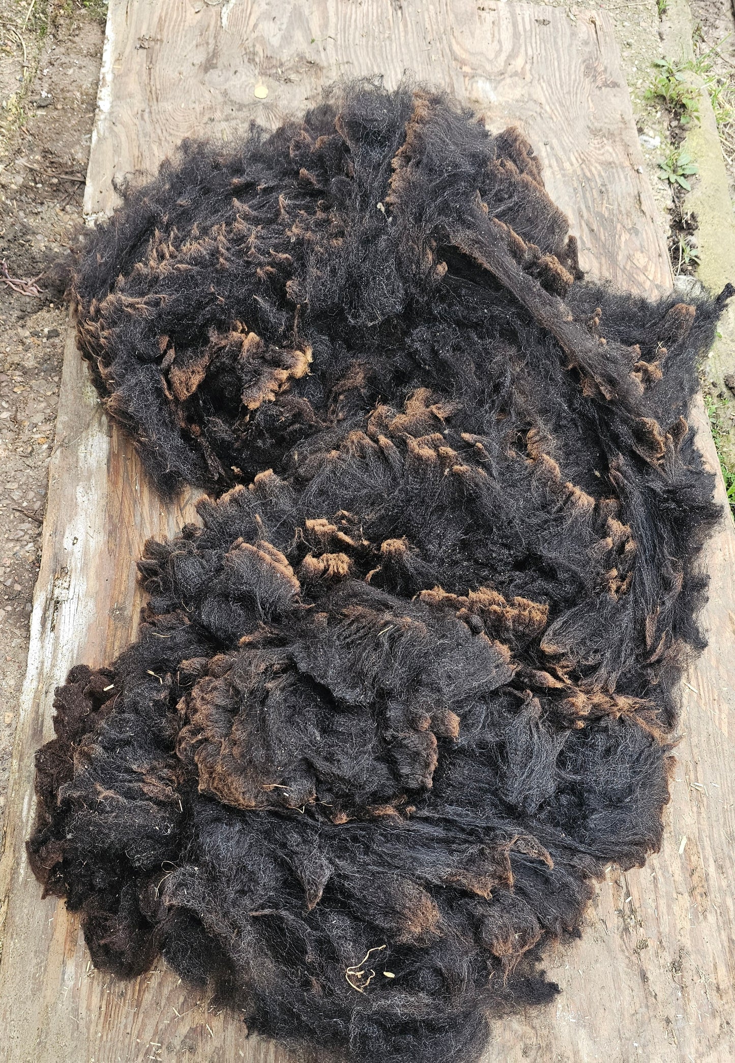 Zwartble x Whole Raw Lambswool fleece