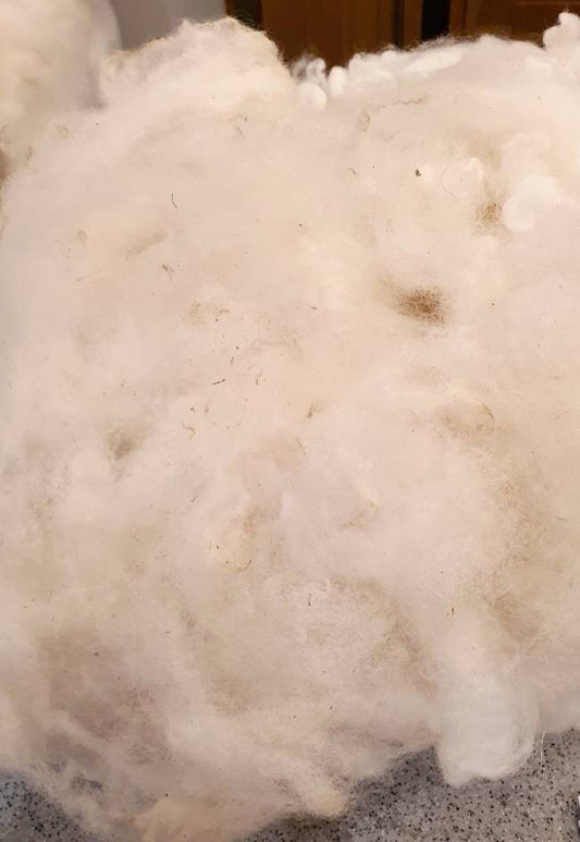 Washed rare breed Derbyshire gritstone/blackfaced mountain fleece. Wool for crafts